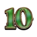 icon 10