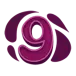 icon 18
