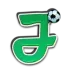 icon 10
