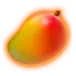 icon 7