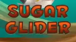 Sugar Glider