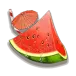 icon 5