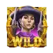 icon 5
