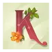 icon 6