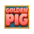 Bonus Buy Golden Pig
