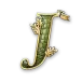 icon 10