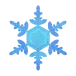 icon 9