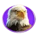 icon 2