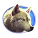 icon 4