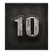 icon 10