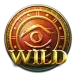 icon 9