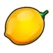 icon 7