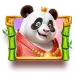 icon 9