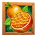 icon 1