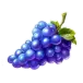icon 6