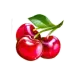 icon 7