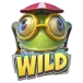 icon 1