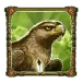 icon 5