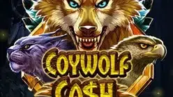 Coywolf Cash