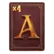 icon 4