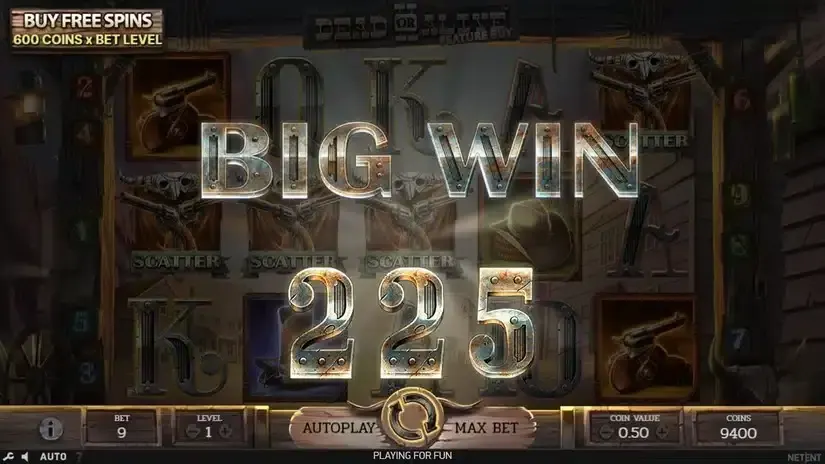 Dead or Alive 2 Feature Buy slot screenshot 2