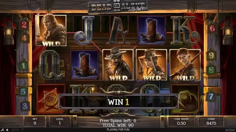 Dead or Alive 2 Feature Buy slot screenshot 5