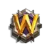 icon 9
