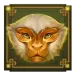 icon 4
