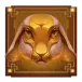 icon 5