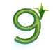 icon 12