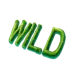 icon 13