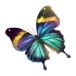 icon 4
