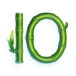 icon 11