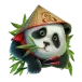 icon 2