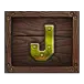 icon 9
