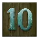 icon 10