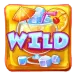 icon 9