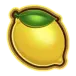 icon 5