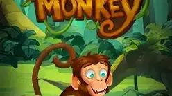 Loco the Monkey