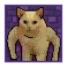 icon 2