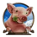 icon 3