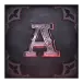 icon 6
