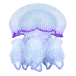 icon 4