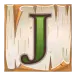 icon 9