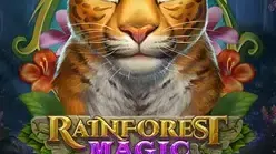 Rainforest Magic