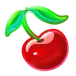 icon 5