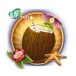 icon 1