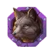 icon 5