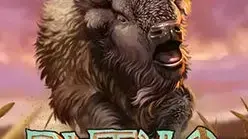 Buffalo Hunter