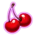 icon 5